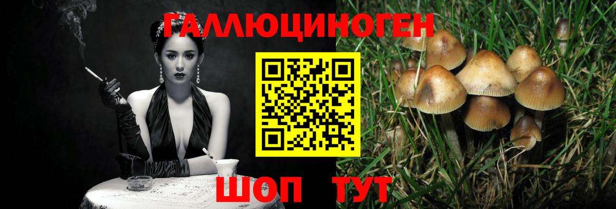 Киров  Псилоцибиновые грибы ЛСД  Вход с VPN 